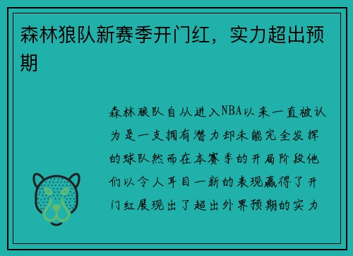 森林狼队新赛季开门红，实力超出预期